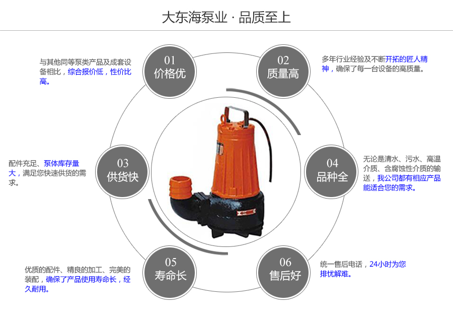 大東海泵業(yè)撕裂式潛水泵質(zhì)量保證圖