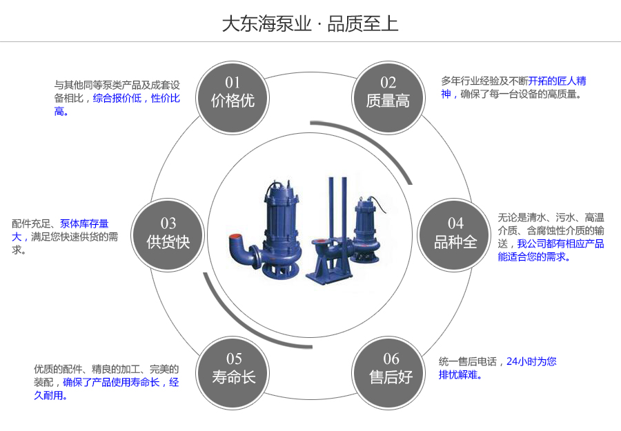 大東海泵業(yè)工程污水泵質(zhì)量保證圖